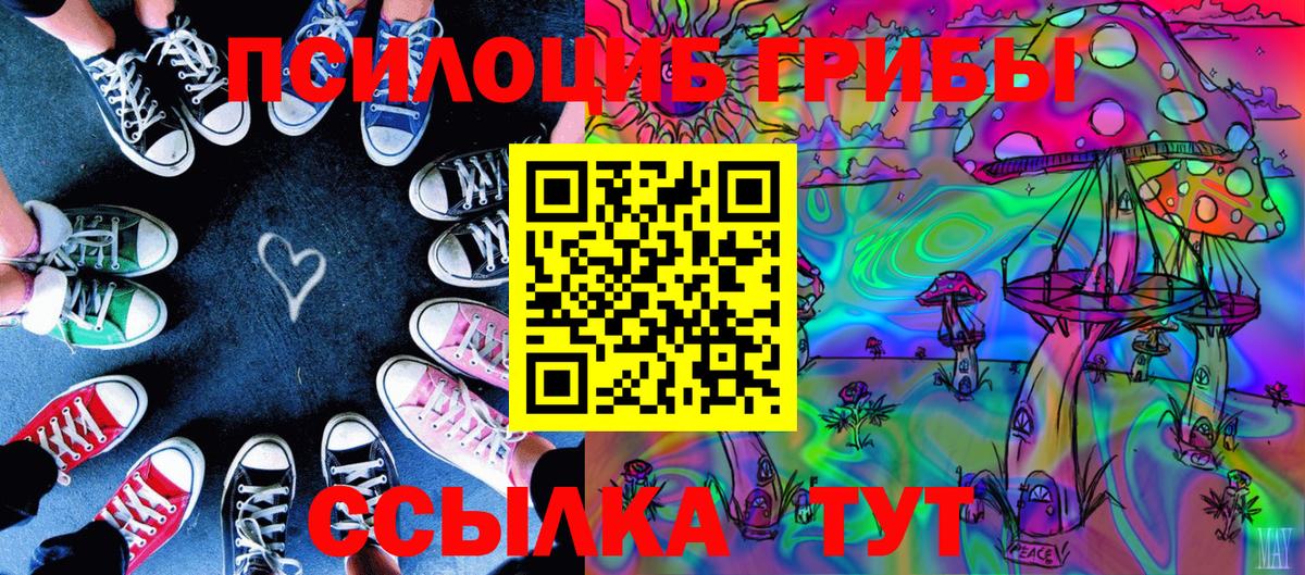 Галлюциногенные грибы Cubensis  Вход с VPN  Сызрань  Псилоцибиновые грибы Psilocybe 