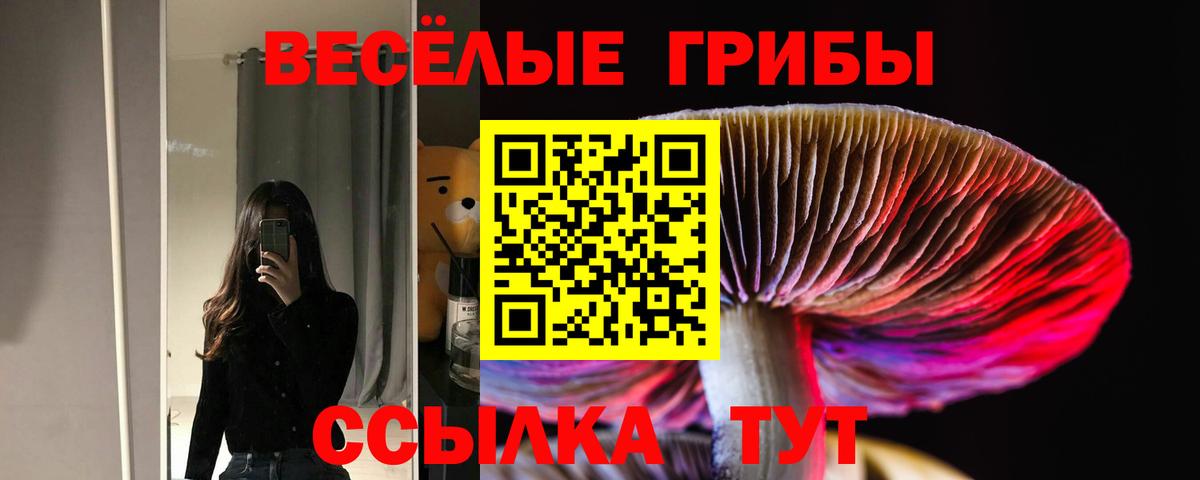 Галлюциногенные грибы Psilocybine cubensis Сызрань